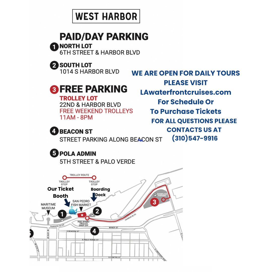 Parking Directions to our Location