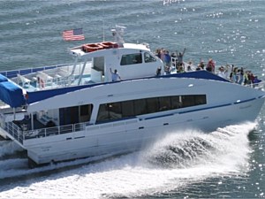 Whale Watching Passengers